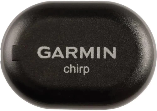 chirp 1.jpg
