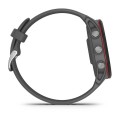 Garmin Forerunner 255 / Popielaty [010-02641-10]