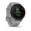 Garmin Forerunner 255s / Powder Grey [010-02641-12]